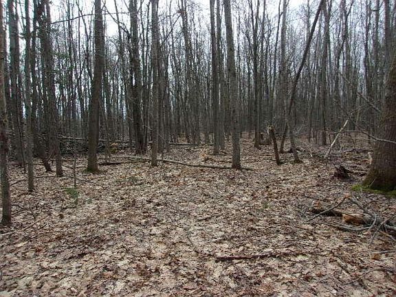 5th image of 20 Acres Milarch