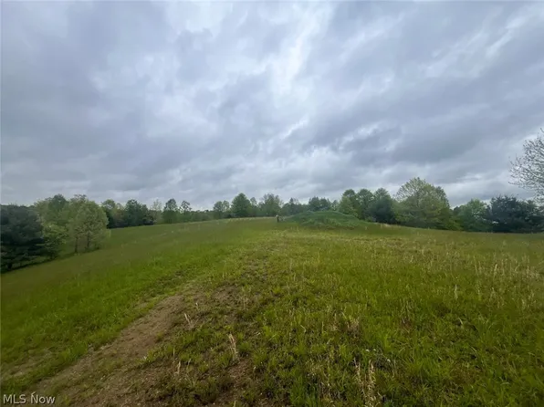 87085 Crall Rd, Scio, OH 43988