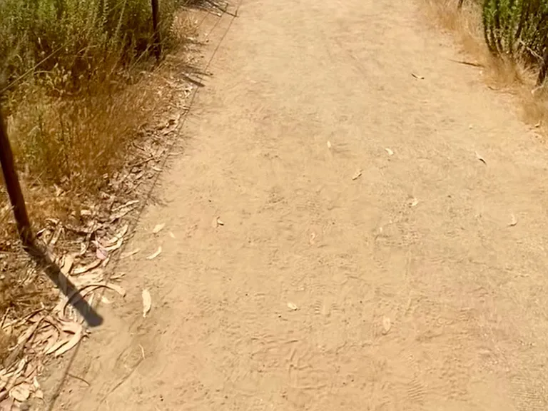 Nearby walk to Wetlands trail