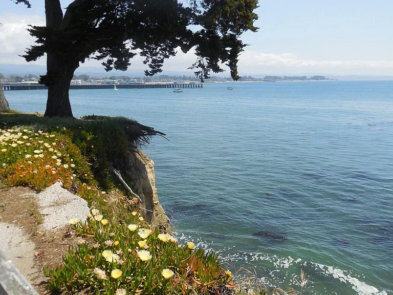 Great Santa Cruz location