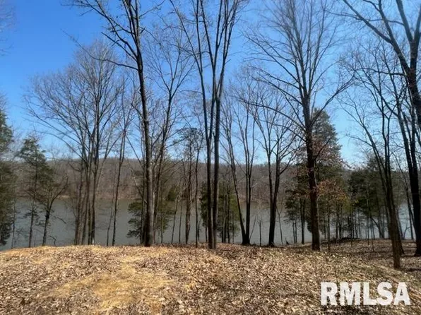 LOT 334 Clifty Ln, Goreville, IL 62939