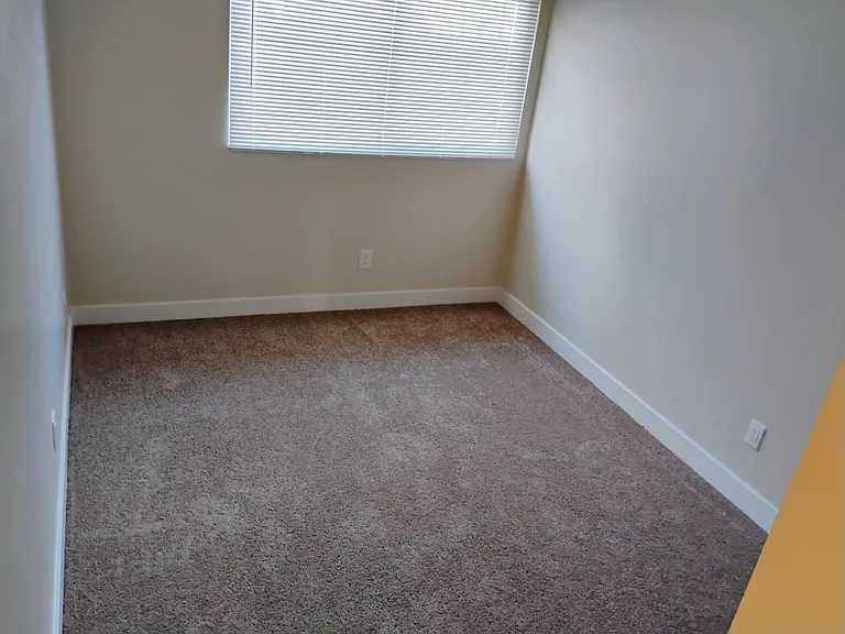 Pine Wild Apartments — Photo 7
