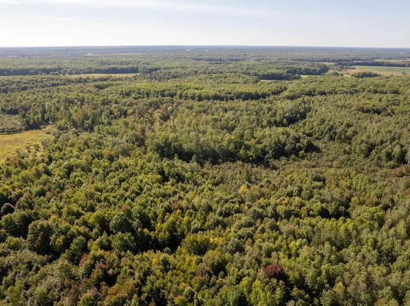 160 Acres BIRCH DRIVE, Mosinee, WI 54455