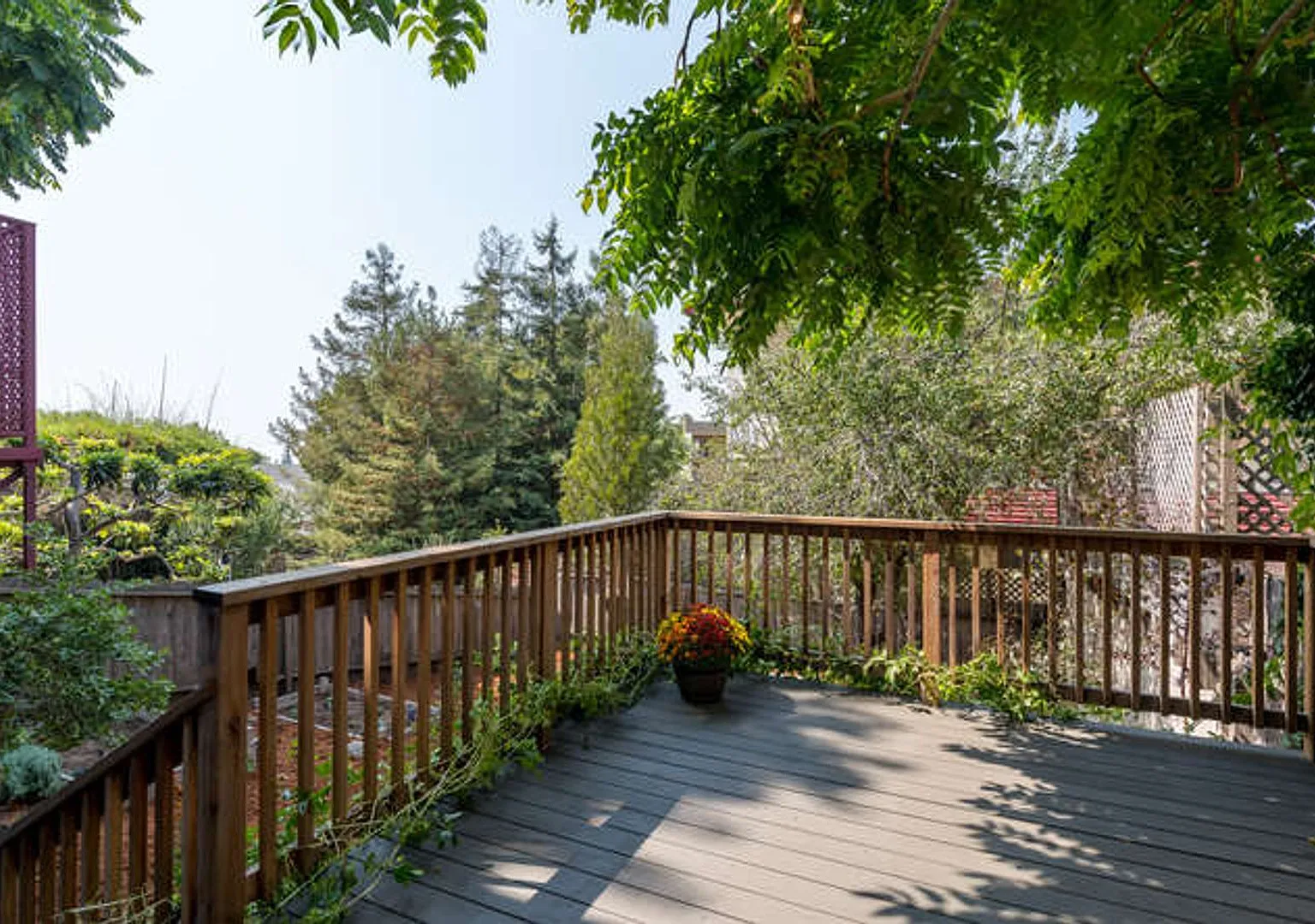 Beautiful 1bed/1bath Piedmont Avenue Gem! — Photo 1