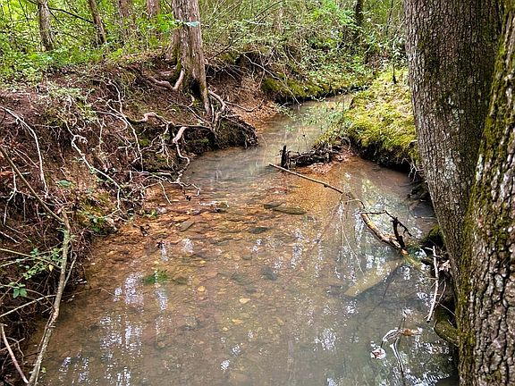 4th image of 5 Euchee Rd