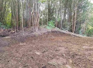 18-4135 Heno St LOT 136, Volcano, HI 96785