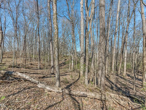 60th image of this home