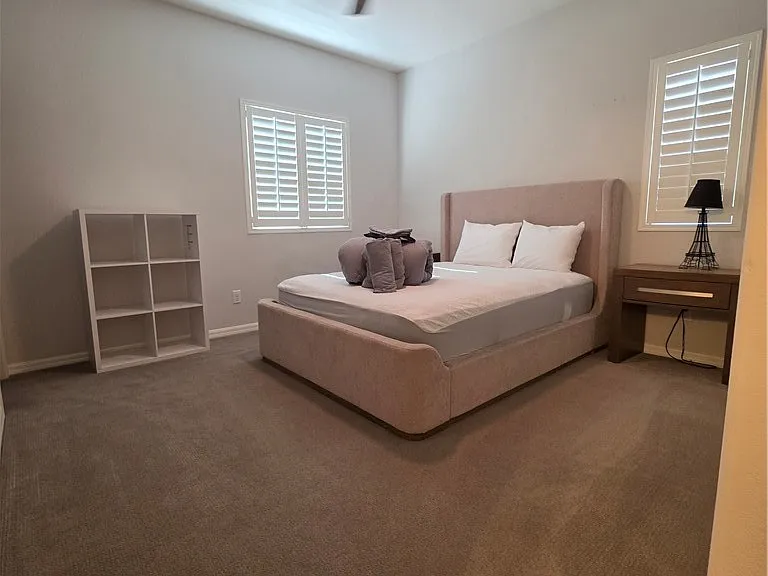 7926 Torreys Peak St — Photo 20