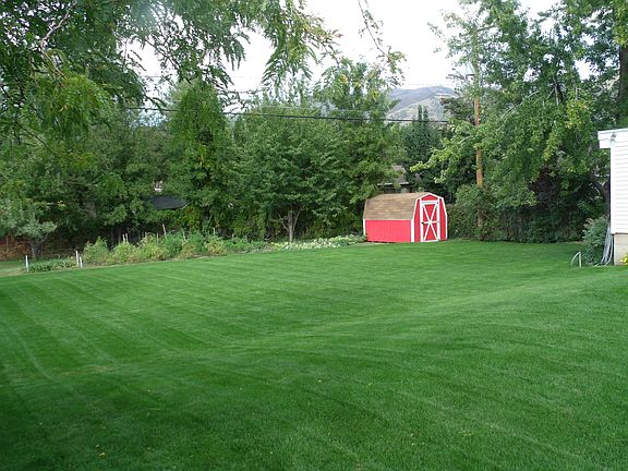 Great Back Yard