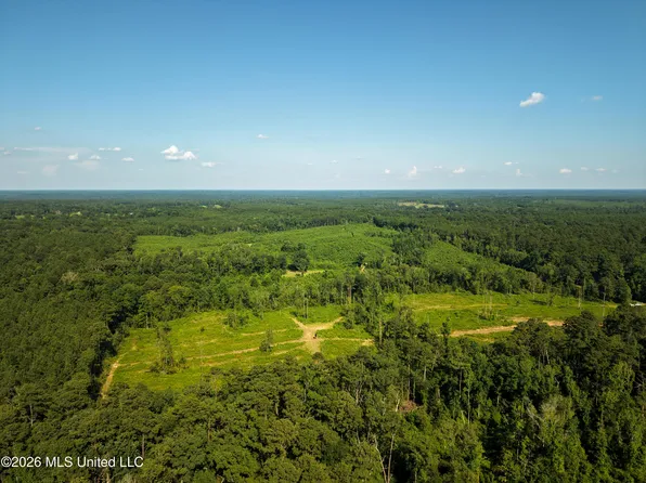 Lower Liberty Gloster Rd, Liberty, MS 39645