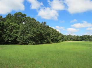 10821 Walter Hunter Rd, Lithia, FL 33547