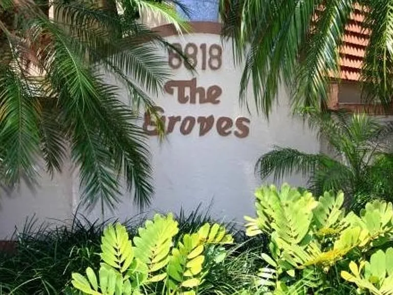 Groves at Sunset — Photo 1