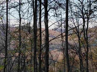 1407 Long Hollow Rd, Sneedville, TN 37869