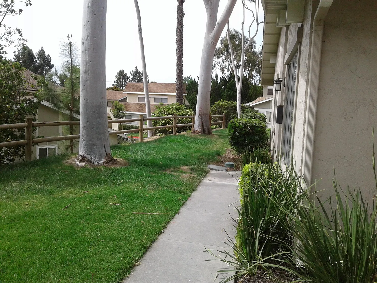 4156 Camino Ticino — Photo 3