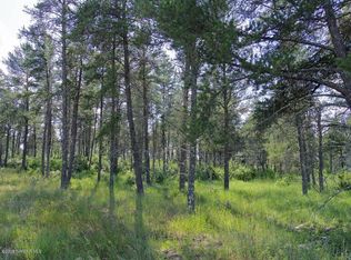 Blue Mayflower Rd, Bemidji, MN 56601