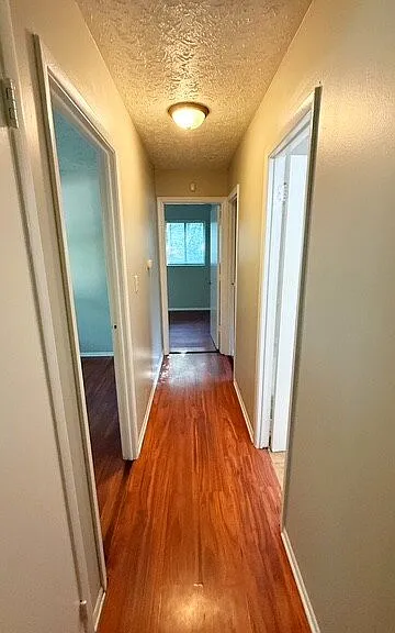 10221 Ridgefield Dr — Photo 6