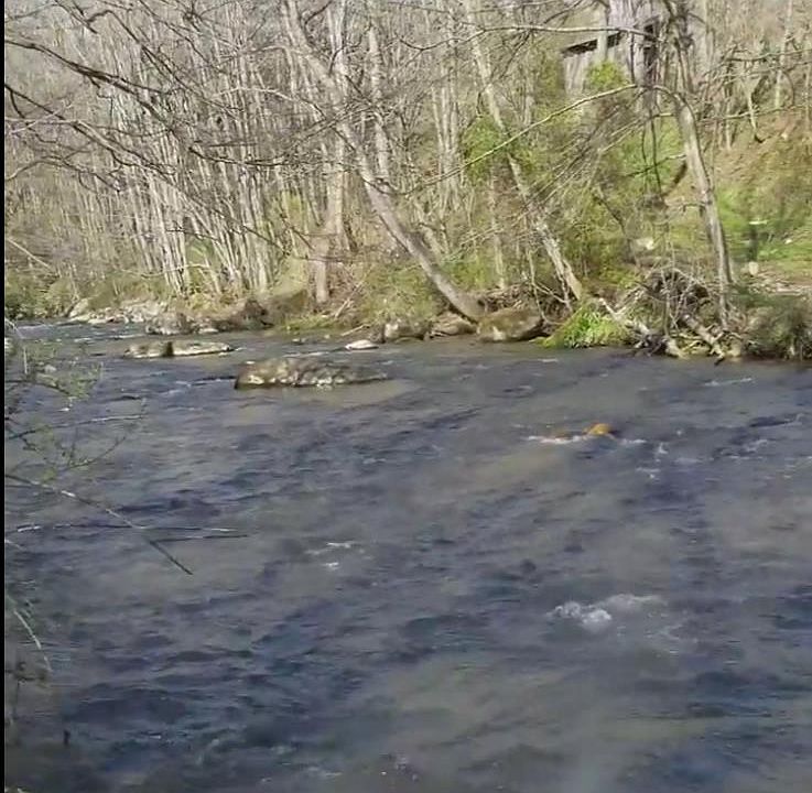 1st image of 11361 N 226 Hwy