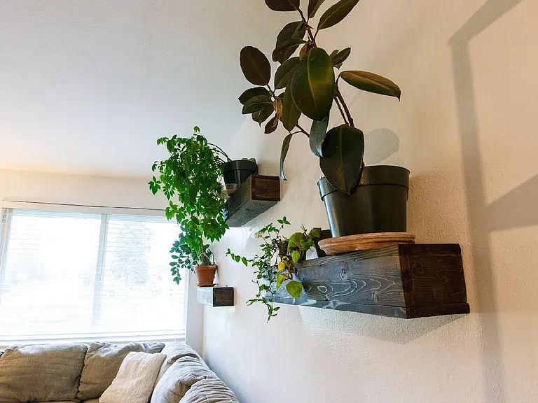 3710 Wildrose Ave — Photo 9