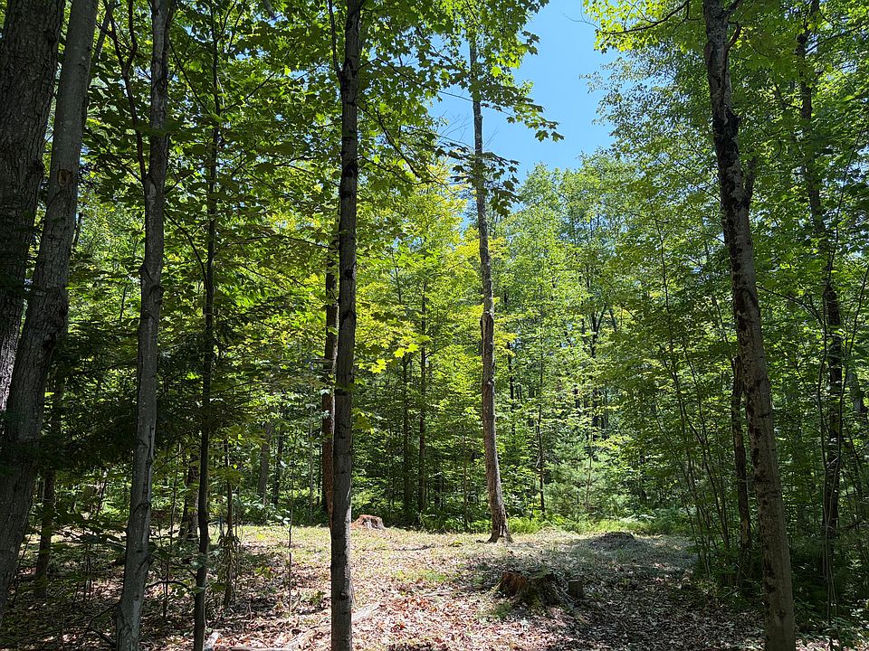 1st image of Lot 5 Park St. (Route 133)