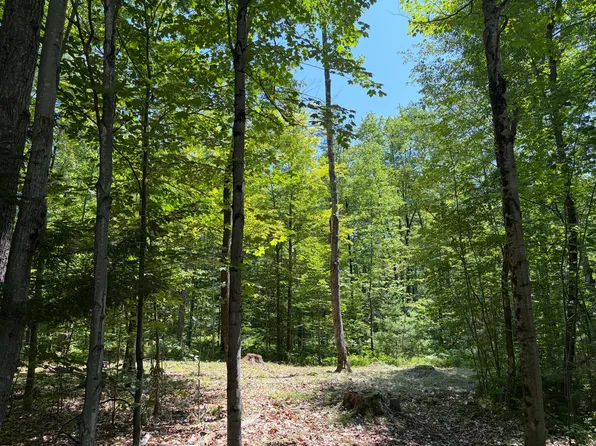 Lot 5 Park St. (Route 133), Livermore Falls, ME 04254