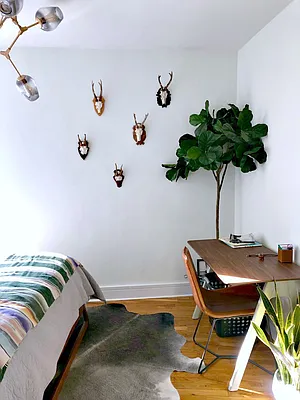 Rented by Metropolitan Equities | media 7