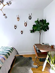 Rented by Metropolitan Equities