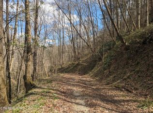 LOT 2 Briar Branch Rd, Townsend, TN 37882