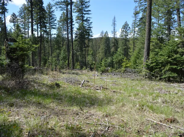 200 Whitefish Hills Dr, Whitefish, MT 59937