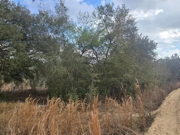 SE 252nd Ave Lot 7, Umatilla, FL 32784