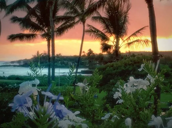 Uluwehi St Lot 37, Koloa, HI 96756