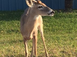 Gulf Dr. Block 8, Port Mansfield, TX 78598