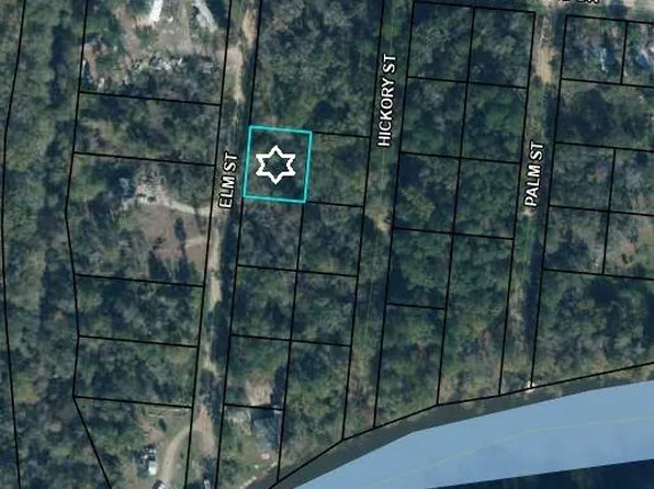 136 Elm St, Wewahitchka, FL 32465