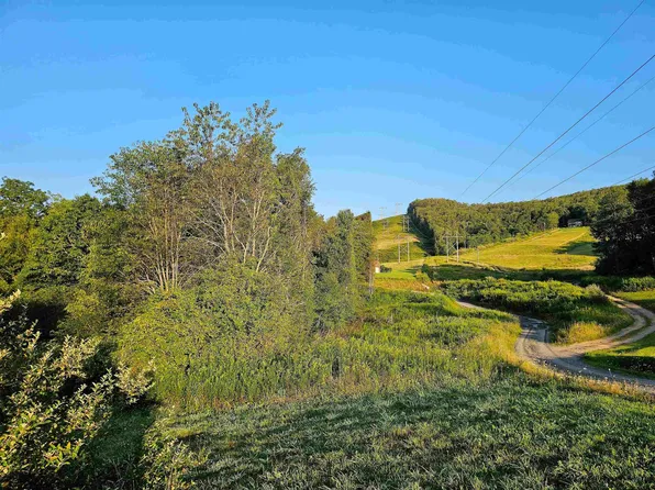 Deer Tracks Dr, Terra Alta, WV 26764