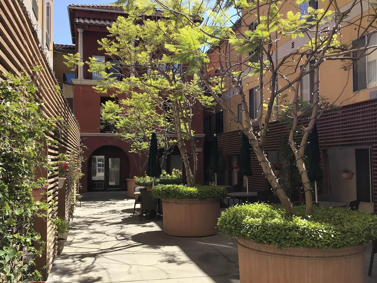 Atrium Garden Apartments — Photo 4