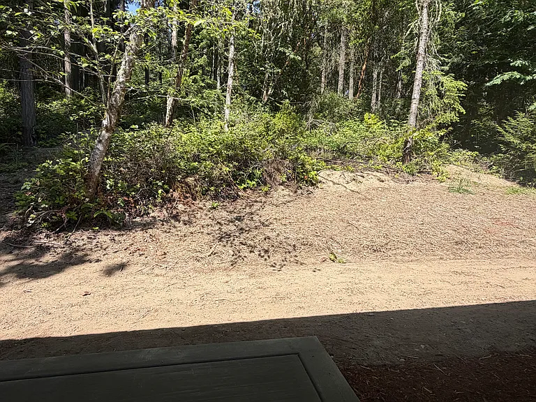 Old Military Rd NE — Photo 2
