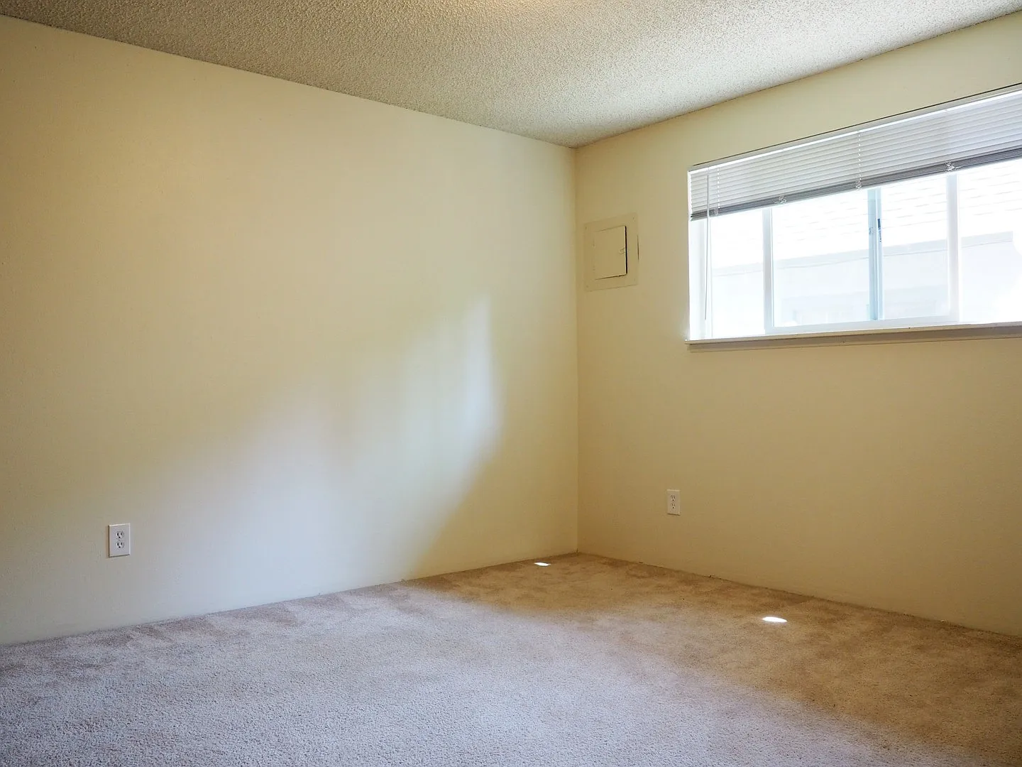 Shannon Apartments — Photo 4