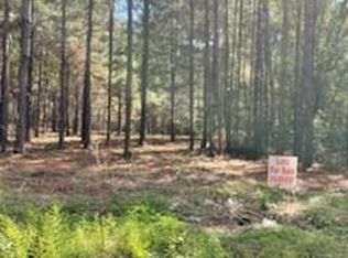 Williams Lake Rd LOT 2, Pineville, LA 71360