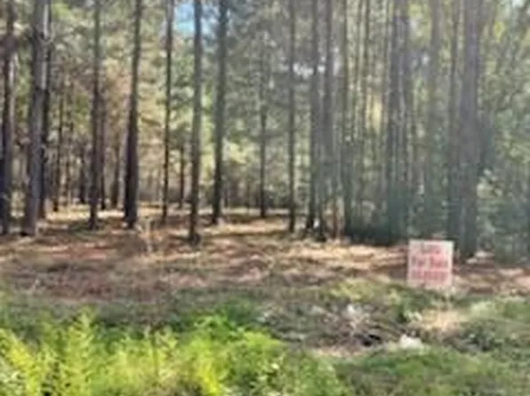 Williams Lake Rd Lot 2, Pineville, LA 71360