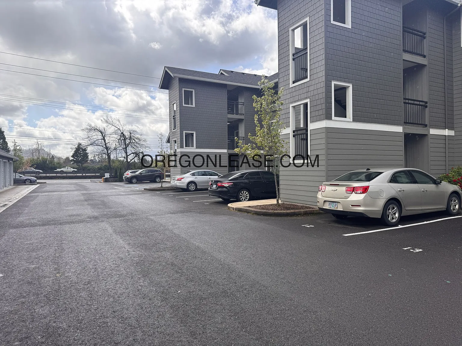 Newer 2-Bedroom Apartment 1100 Q St, Springfield — Photo 3