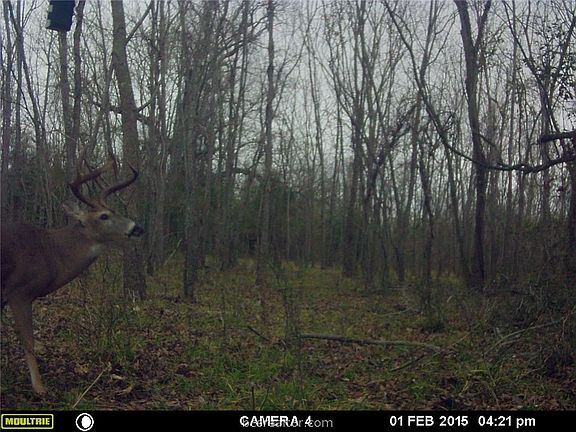 3rd image of 10787 County Road 348