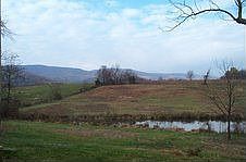 View from rear deck off Kitchen