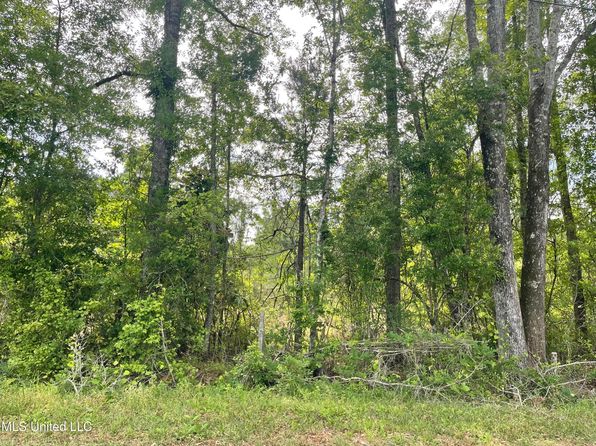 316 Thompson Hill Rd, Mc Lain, MS 39456