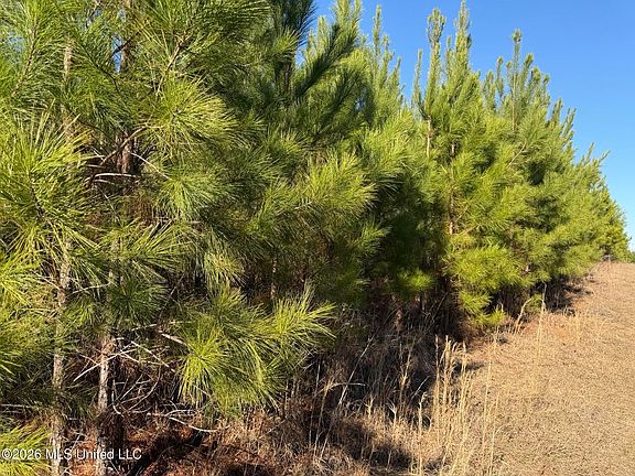 5th image of 0 Delancy Rd