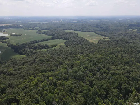 0 Schwartz Hill Ln, Vienna, IL 62995