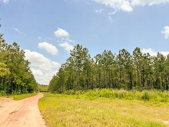 2nd image of 0 County Road 1425