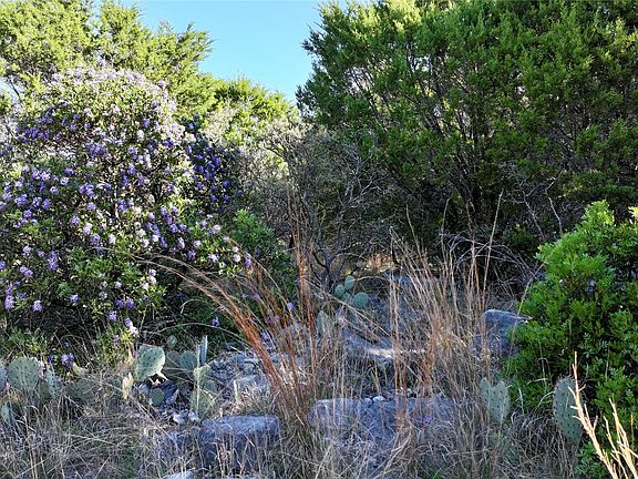 2nd image of 754 Park Rd