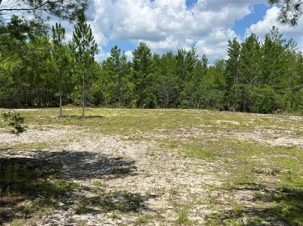 179TH PLACE, ARCHER, FL 32618