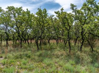 LOT 10 County Road 261, Zephyr, TX 76890