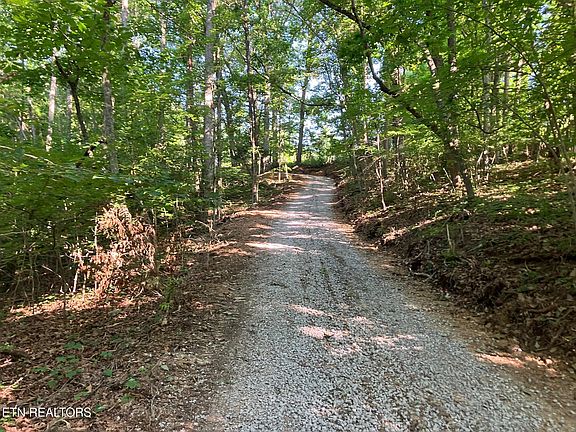 5th image of TRACT 2 Graves Hollow Rd