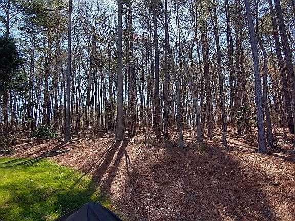 View from back patio